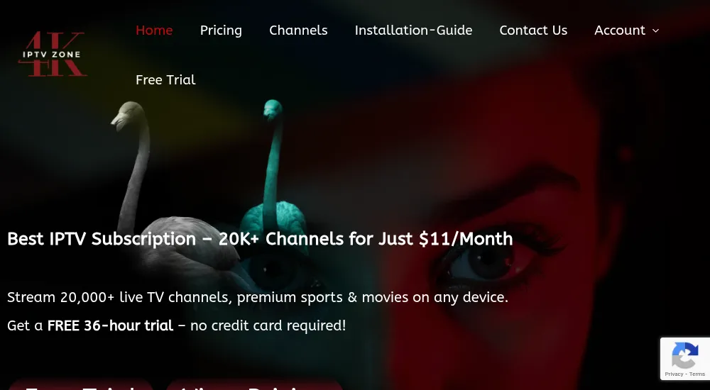 Best USA IPTV Service Providers
